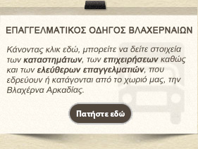 ΕΠΑΓΓΕΛΜΑΤΙΚΟΣ ΟΔΗΓΟΣ